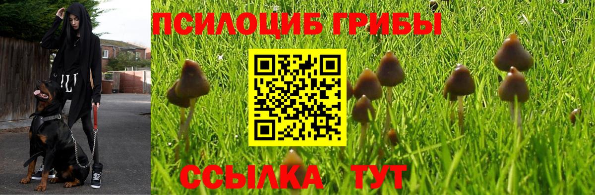 Галлюциногенные грибы мухоморы Пушкино