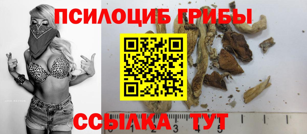 Пушкино  Галлюциногенные грибы мухоморы  Галлюциногенные грибы мухоморы  Вход с VPN 